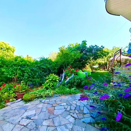 Gasthuis прохлада Sinemoretz